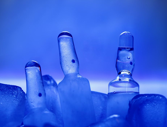 Discover a Range of Refrigerated Transport Solutions at Heathrow